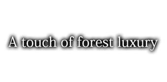 A touch of forest luxury